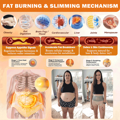 PAURAJU®🌵💖 30-Min All-in-One Micro-Particle Fat-Burning Shorts✅Ignites deep microcirculation to melt fat, flush toxins, and reverse metabolic aging.